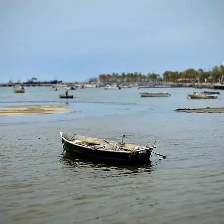 Sea View * Wlora